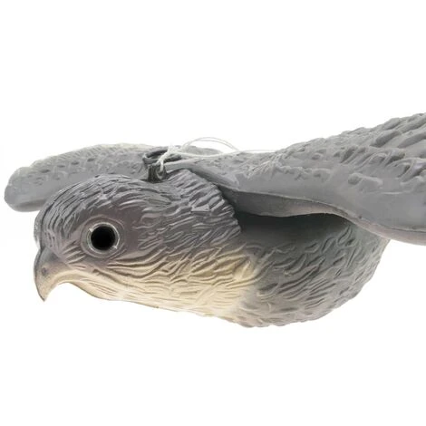 PrimeMatik - Faucon Volant épouvantail 54x35 Cm – Image 2
