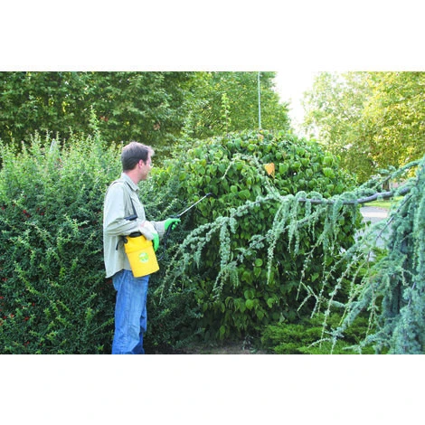 Pulvérisateur Floraly 5 Optima Soin Des Végétaux 5,2L - BERTHOUD 101450 - Garantie 5 Ans - Jaune – Image 2