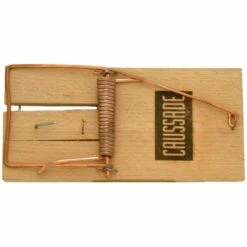 CAUSSADE Tapette à Rat En Bois