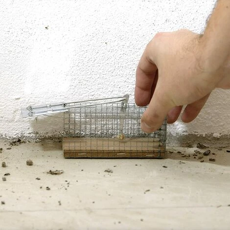 Caussade CASNASSB Nasse à Souris Socle Bois Et Grillage Ultra Resistant,Réutilisable | Intérieur Et Extérieur – Image 3