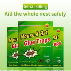 ILOVEMILAN Piege A Souris Colle Collant 10 Pièces Pièges à Souris Attrape Anti Souris Rat Glue Plaque Collante Piège Souris Et à Rats [10 Pièces]