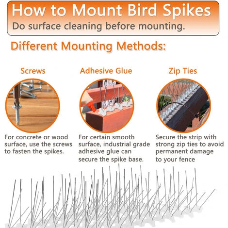 EINFEBEN Défense Contre Les Oiseaux Défense Contre Les Oiseaux Pics à Pigeons Protection Contre Les Pigeons 5 Rangées 3M Défense Contre Les Moineaux - Argent â Image 5