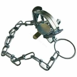 Piège Extérieur à Ressort Hélicoïdal En Métal Pour Renard Bobcat Vole Skunk Muskrat Lapin Lutte Antiparasitaire Outil De Jardin THSINDE